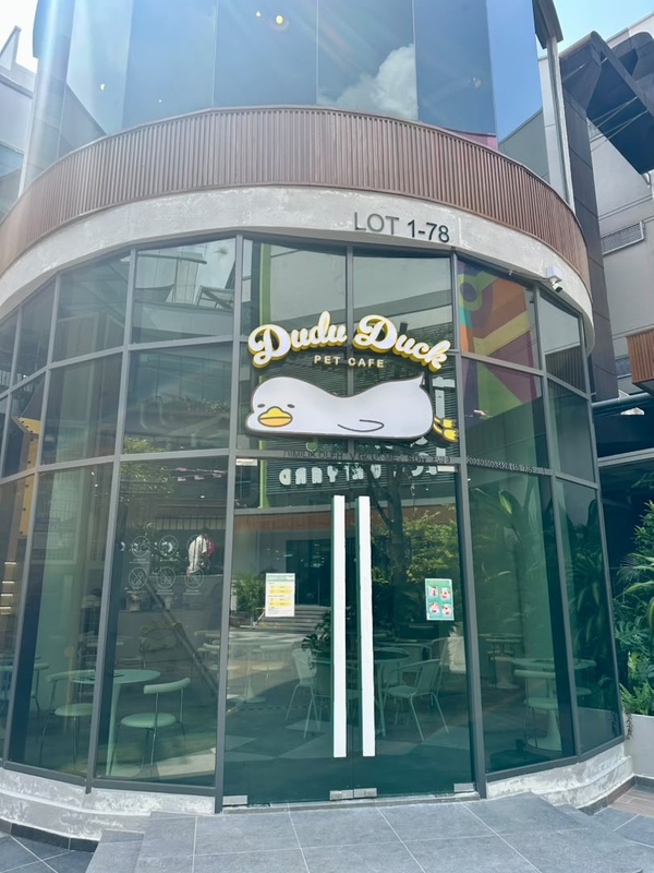 Dudu Duck Cafe is now open！